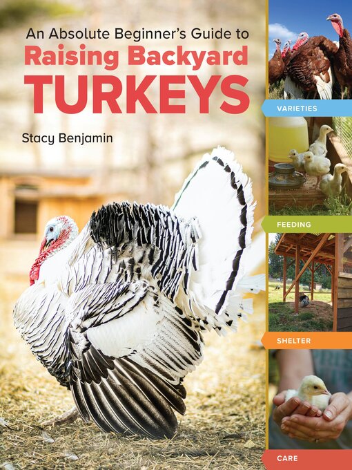 Title details for An Absolute Beginner's Guide to Raising Backyard Turkeys by Stacy Benjamin - Available